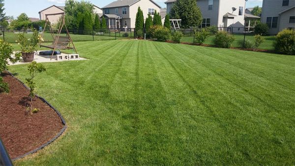Lawn Maintenance Services in Bloomington IL