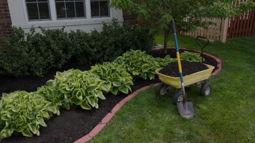 Professional landscaping services in Bloomington IL