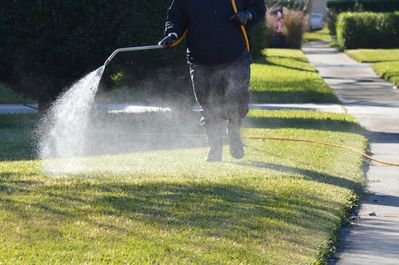 Your Reliable Gardeners in Bloomington IL